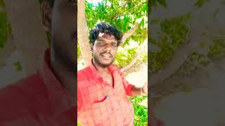 இதுக்கு முன்னாடி நாய் கடிச்சி.😂😂#  Madurai Muthu #comedy#trending#viral #shortvedio