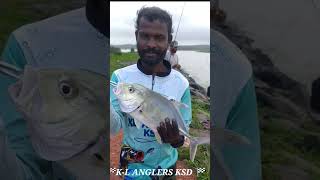 small  GT   Kasaragod fishin          🏁K-L ANGLERS KSD 🏁