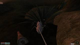 Let's Play Morrowind Part 2: The First Dungeon.