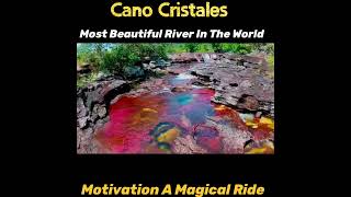 Cano Cristales रंग बदलती दुनिया की सबसे खूबसूरत नदी | River Of Five Colors | #shorts #youtubeshorts