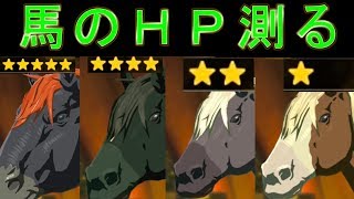 馬のＨＰ測ってみた　じょうぶさ★１～５の馬（★３はなし）【ゼルダの伝説ブレスオブザワイルド】検証　実況