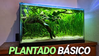 Plantado FÁCIL y BÁSICO de 60 Litros | Actualización a 1 MES de montado