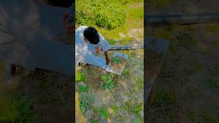 💡wait for end ￼#shorts #viralvideo #tricks #trending #farming #reels #editing #song #punjabisong ￼