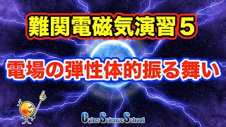 ハイレベル高校物理　電磁気演習５　電場の弾性体的振る舞い（京都大学）