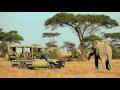 Family Safaris with Asilia Africa