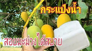 DIY ไม้สอยมะม่วง จากกระป๋องน้ำขวดพลาสติก \