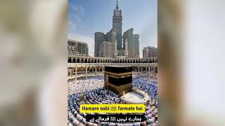Hamare Nabi Pak ﷺ ki 5 Khubsurat Hadees | Urdu Status | Islamic Whatsapp Status Video