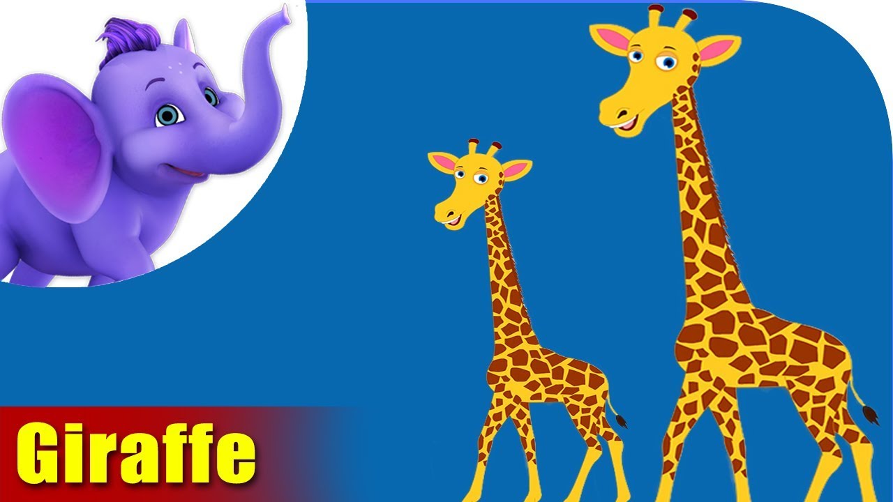 Giraffe Rhymes, Giraffe Animal Rhymes Videos For Children - YouTube