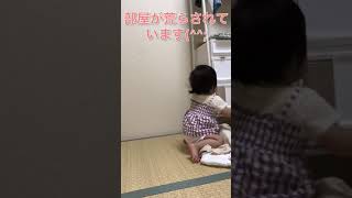 【犯行の瞬間】大胆な空き巣の犯人を見つけました#shorts