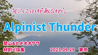 【昆虫採集】Alpinist Thunder 登山\u0026ヒメオオ材割り採集 2023.09.29［ヒメオオクワガタ、ヒメオオ、クワガタ、東京］