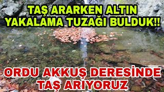 Ordu Akkuş Deresinde Değerli Taş Arıyoruz