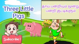 தாய் பன்றியும் மூன்று பன்றி குட்டிகளும்