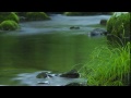 カメラ散歩　裏磐梯の風景と... 2014年6月の風景