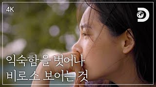 [4K 예고] 처음 보는, 혹은 알고 있었지만 새로 보이는 것들을 찾아 떠나는 여정 [잠적:김민하]