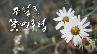 [시니어 단편영화] 구절초꽃 필 무렵 (2019)