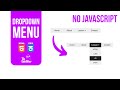 Dropdown Menu with HTML & CSS / No JavaScript