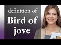 Bird of jove | what is BIRD OF JOVE meaning