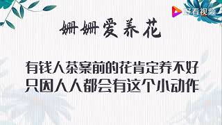 茶叶水真的能浇花吗？只因1个小动作，毁了大部分茶案旁的花卉