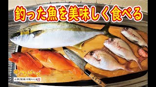 【男の料理】釣った魚を美味しく食べる！