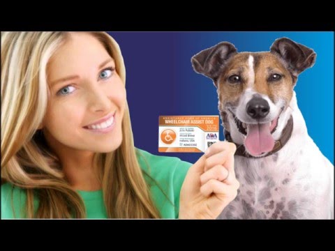 ADA SERVICE DOG REGISTRY VIDEO ADA SERVICE DOG REGISTRY VIDEO