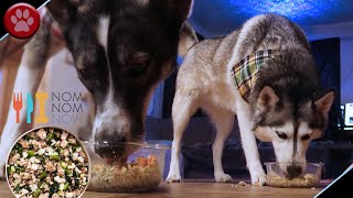 Huskies Try Food From Nom Nom Now!