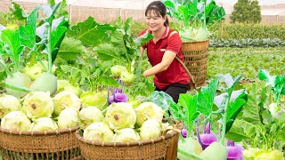 Harvesting Kohlrabi Garden - Cooking Kohlrabi Soup With Bones Go to market sell | Luyến - Harvesting