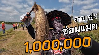 แข่งตกปลาช่อน ชิงเงินรางวัลรวม 1,000,000 บาท