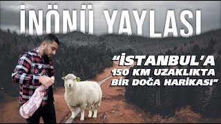 KOCAELİ İNÖNÜ YAYLASI