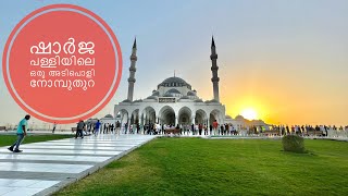 Biggest Mosque in Sharajah | Sharjah Mosque | ഷാർജ പള്ളിയിൽ ഒരു നോമ്പുതുറ |  #uae #dubai