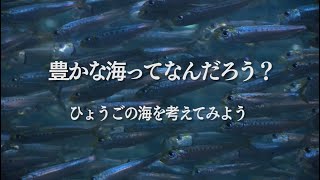 豊かな海って何だろう？ ～ひょうごの海を考えてみよう～