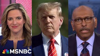 'Stop being stupid, people': Michael Steele slams critics for opposing national leader coordination