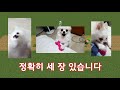 두 번 찍기 마인크래프트