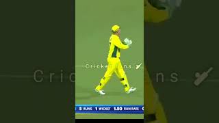 IND vs AUS #😈Ms dhoni #short #trending #viral #ytshorts #cricket