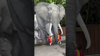 👍👍Elephants! 大象!#cutechild