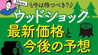 ウッドショック最新価格と今後の住宅価格推移の予想