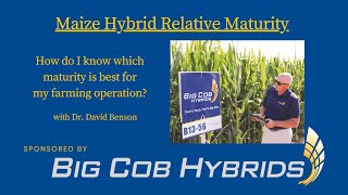 Maize Hybrid Relative Maturity - How do I know which maturity is best for my farming operation?