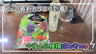 ブドウの最新カタログを見ながら品種構成を考える