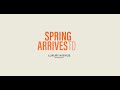 Spring arrives to Luxury Avenue Mall