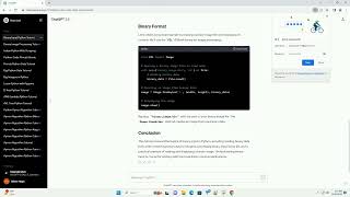 binary input in python
