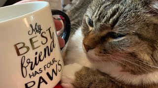 LIVE with Minnie: coffee and biscuits