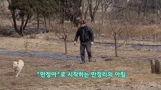 귀촌일기_만정이의 아침