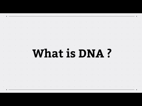 What is another name for deoxyribonucleic acid?