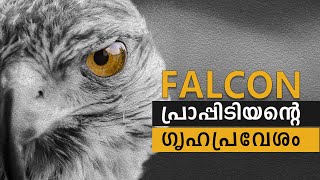 A Story of Falcon I ഫാല്‍ക്കണ്‍ I Falconry I പ്രാപ്പിടിയന്‍ പക്ഷി