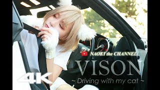 【VISION】- Driving with my cat -