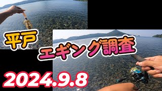 平戸　エギング調査　#釣り #fishing #長崎 #エギング #海釣り #秋イカ