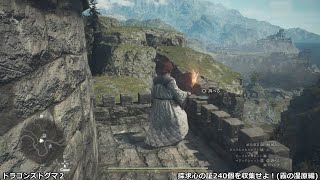 ドラゴンズドグマ２ - 探求心の証240個を収集せよ！(霧の湿原編)