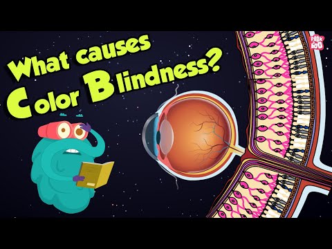 What causes color change?