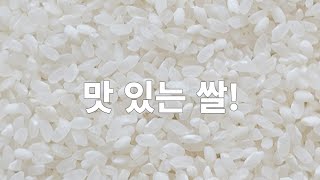 맛있는쌀추천 5kg 2만원대 종결일듯 자취생 혼자 먹기 좋은 가성비 소량 사이즈 당일도정해서 올려주기에 믿고 먹을 수 있으며 맛도 좋았던 못골정미소 영호진미 백미 리뷰