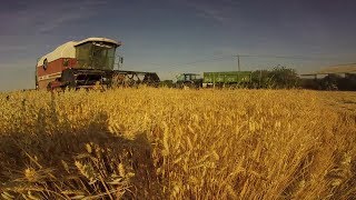 [GOPRO] Moisson du blé 2019