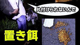 【猫の置き餌】をする犯人を現行犯で注意し、片付けさせる